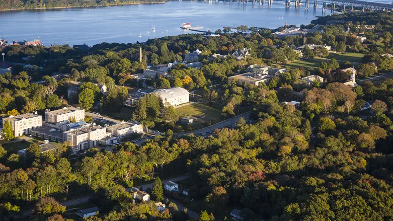 Connecticut College hires interim president with antisemitism history | Israel National News