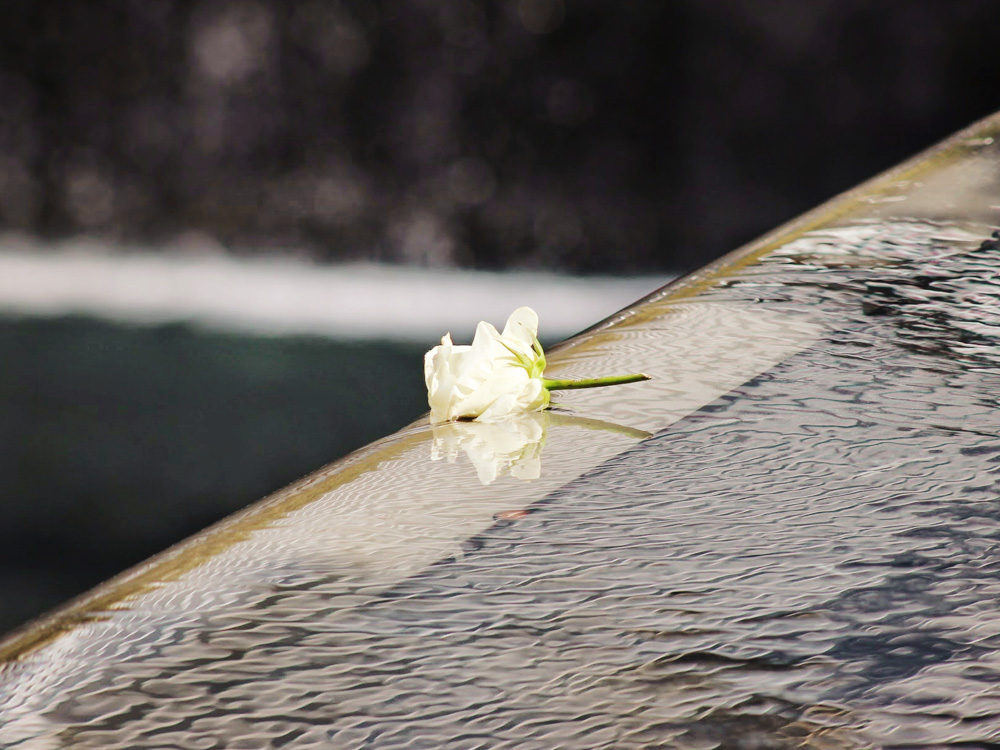 Remembering 9/11: Firsthand Testimonials from New Yorkers - 911 Ground Zero