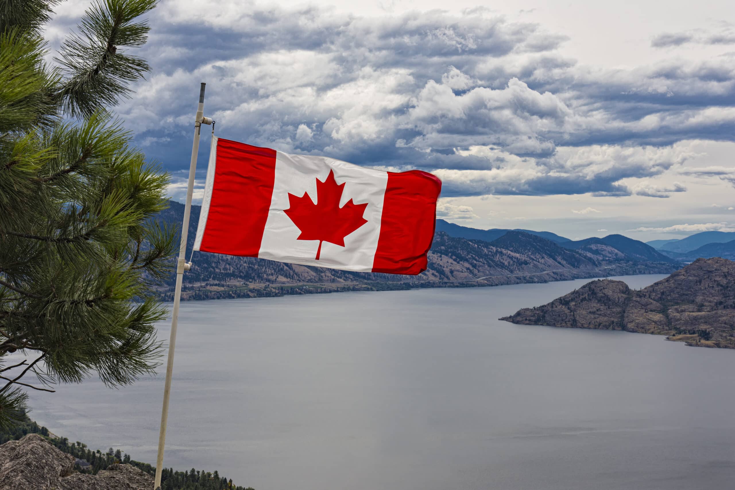 Canada banned flavored vapes. Cigarette sales surged.