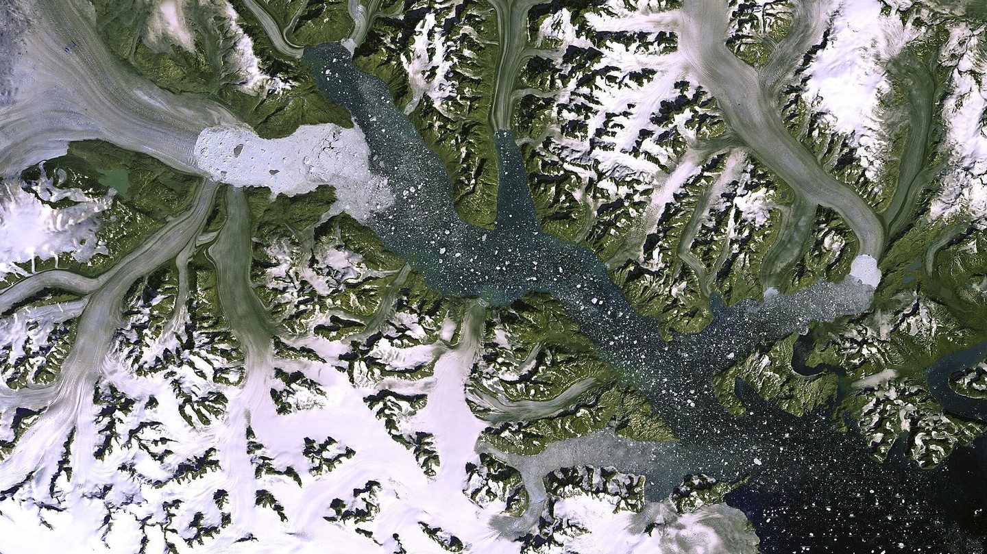 Scientists compile an inventory of endangered microorganisms - EPFL