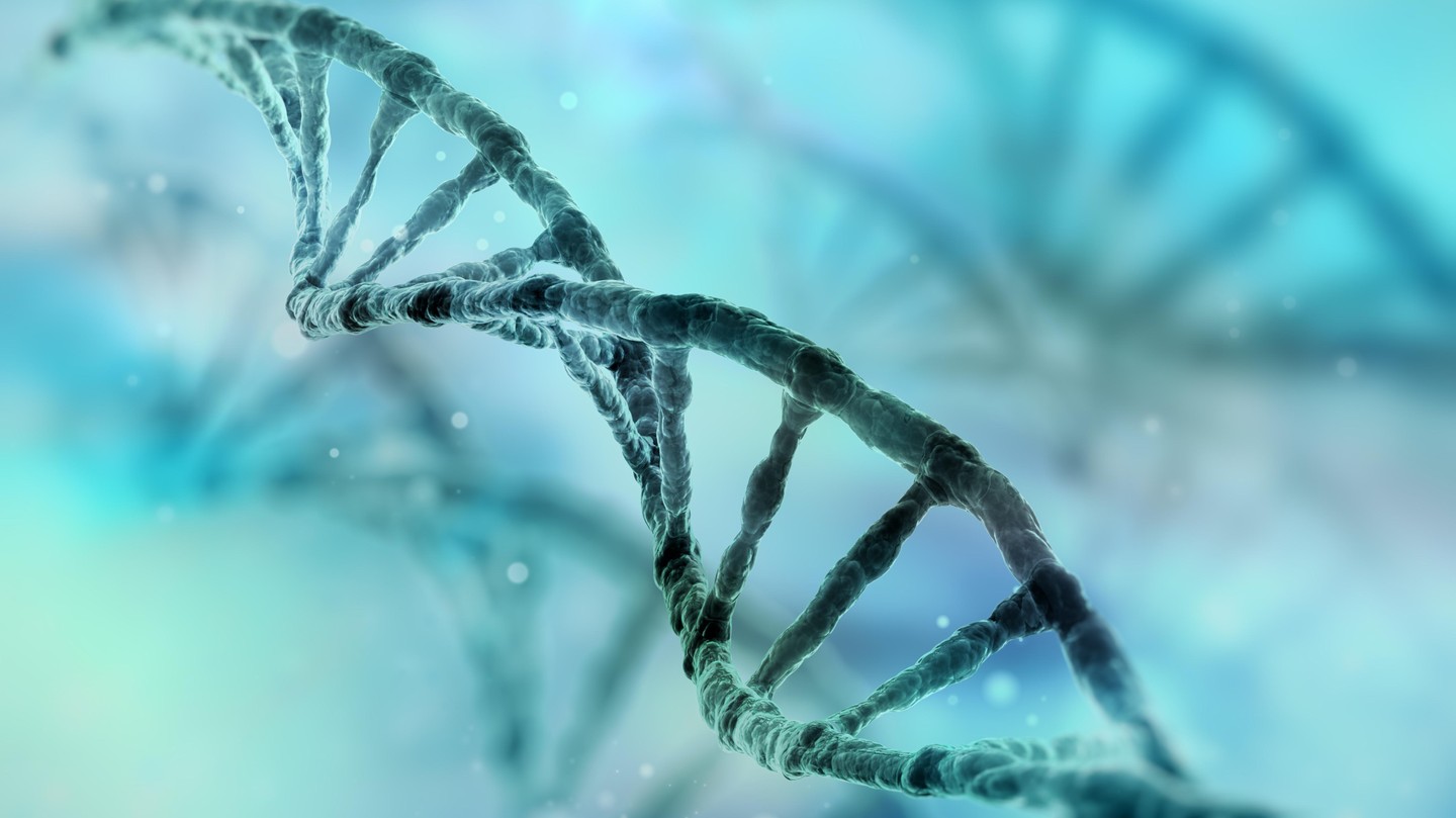 The proteins that domesticated our genomes - EPFL