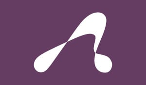 Adswerve Inc. cover