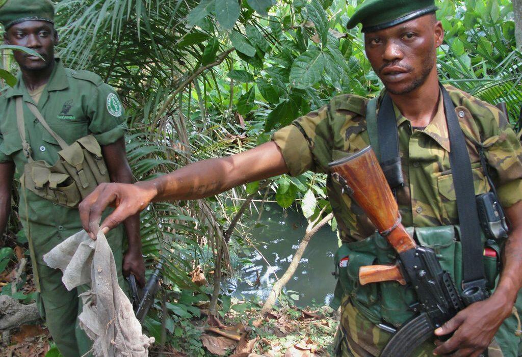 Kony's rebels remain a threat, but they're also selling honey to get by | African Arguments