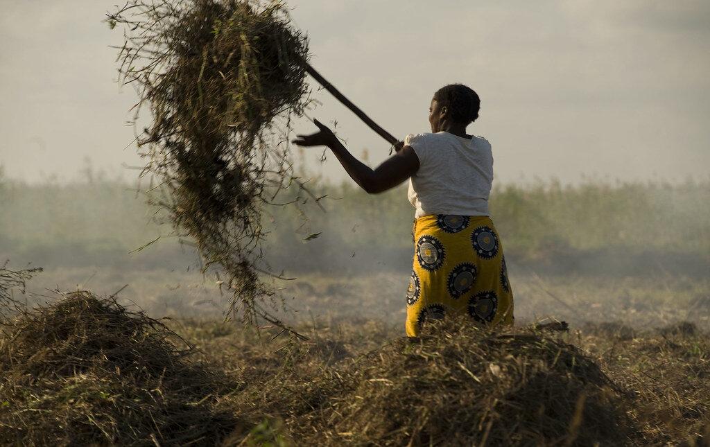 Mozambique: The farmers navigating conflict, climate change and Covid | African Arguments