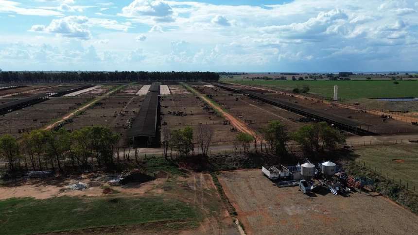 MFG, de Marcos Molina, amplia negócio de confinamento para fornecer bois ao Marfrig - AgFeed