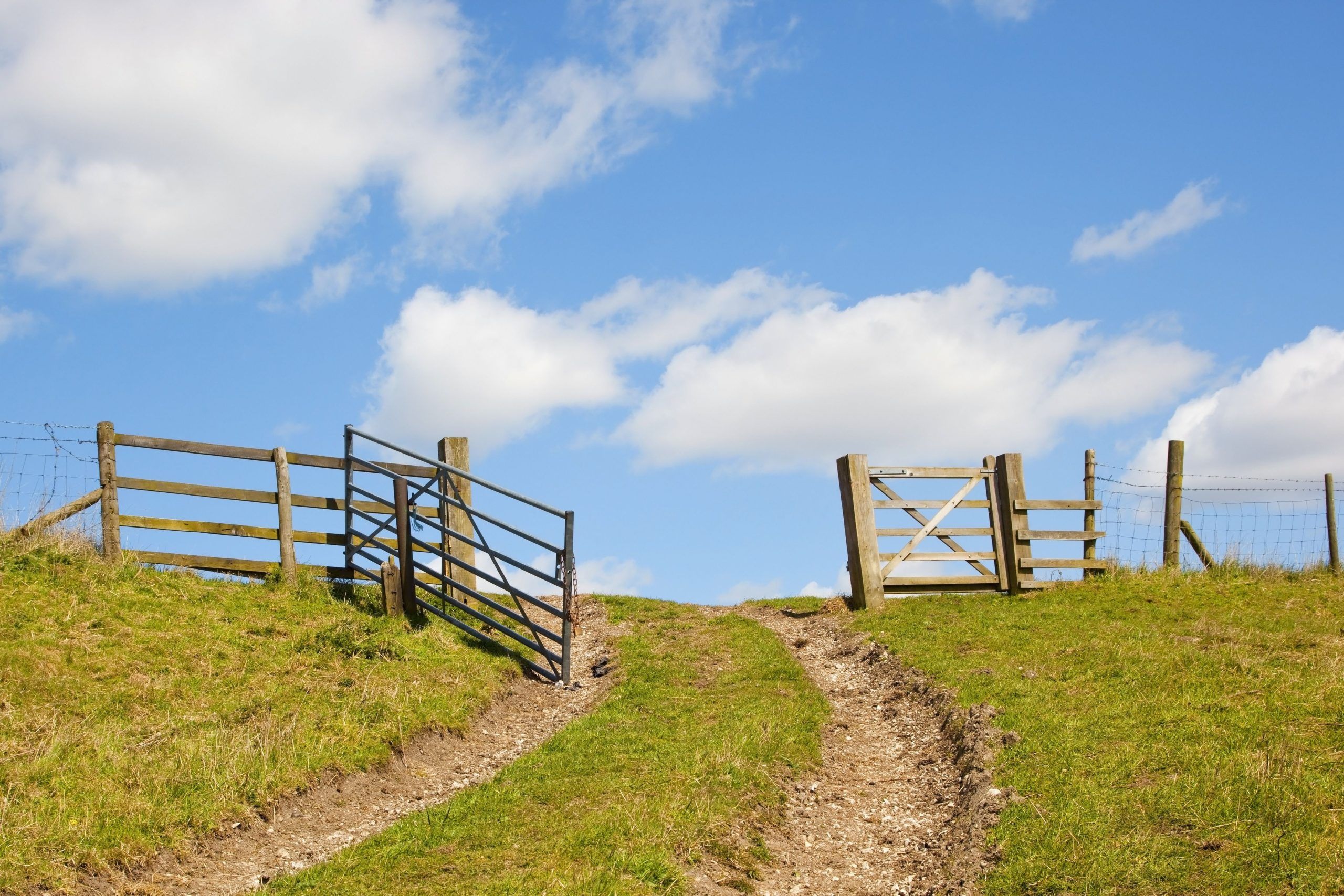 Cloud Biology in Agriculture: Taking Big Data to a New Level - AgFunderNews