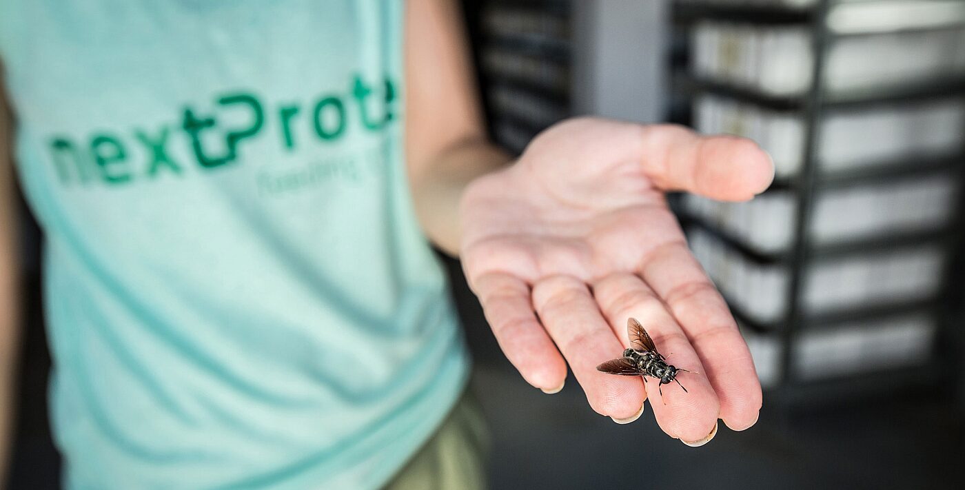 Not dead yet: Insect ag recalibrates after a brutal shakeout