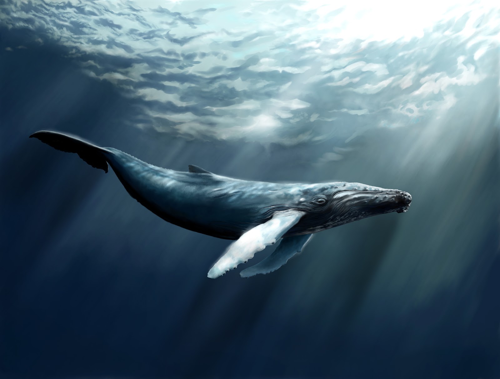 The Magical Combination of Water and Virtual Reality Part 1 : AIXR