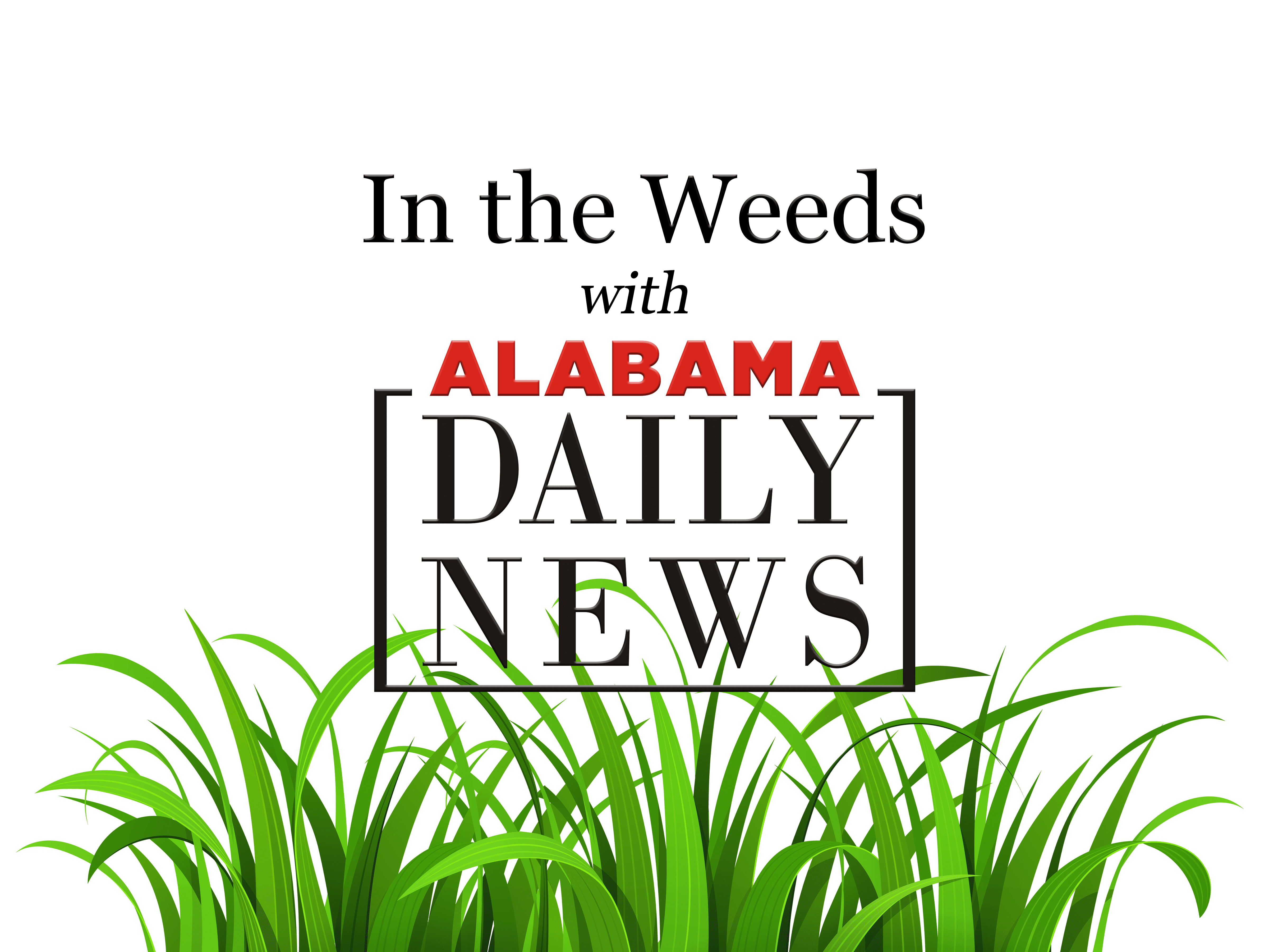 In the Weeds: Alabama's 2026 cycle starts with a bang - Alabama Daily News