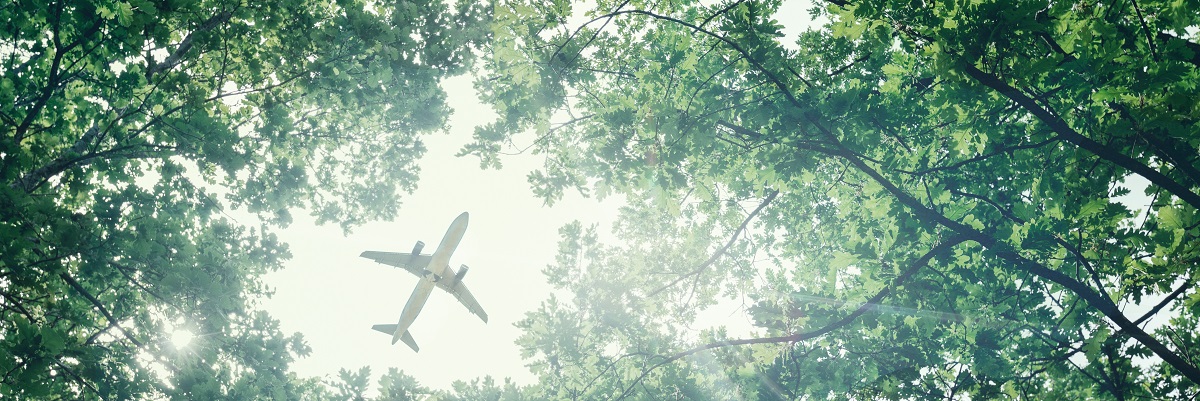 New Project to Explore Climate Sustainability in the Academic System - ALLEA