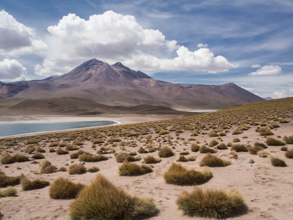 San Pedro de Atacama: Die Lagunas Altiplánicas - ein Ausflug in eine andere Welt - als nuff! Der Wanderblog für die Schweiz und Europa
