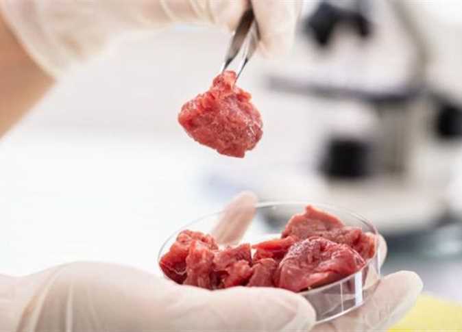Spanish company makes 3D printed meat steak - Egypt Independent