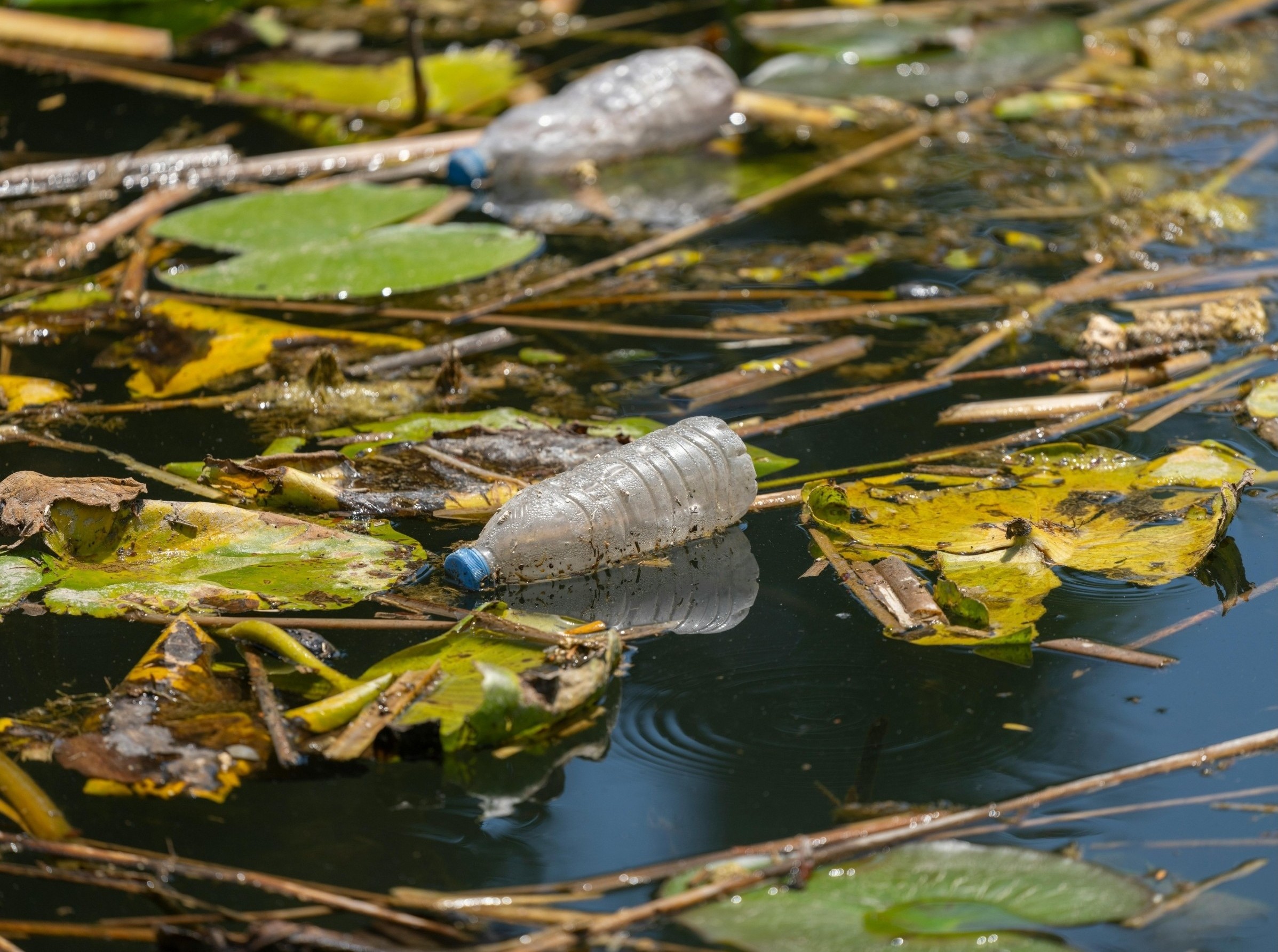 Scientists discover how water erosion contributes to generation of micro and nanoplastics that have been linked to cardiovascular and neurodegenerative diseases - Amber Centre