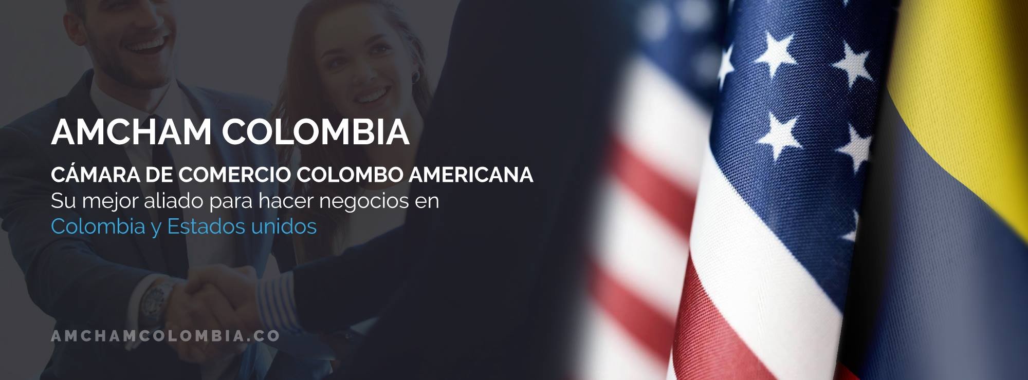 Comités | AmCham Colombia