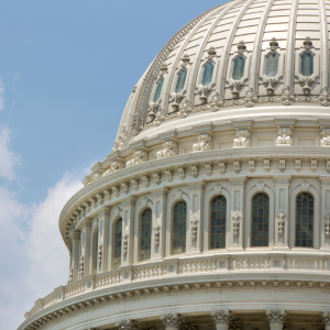 Congress Fails to Come to a Funding Agreement, Government Shuts Down - AMCHP