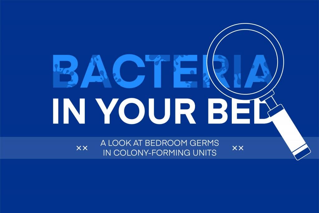 Bacteria in your Bed - Amerisleep