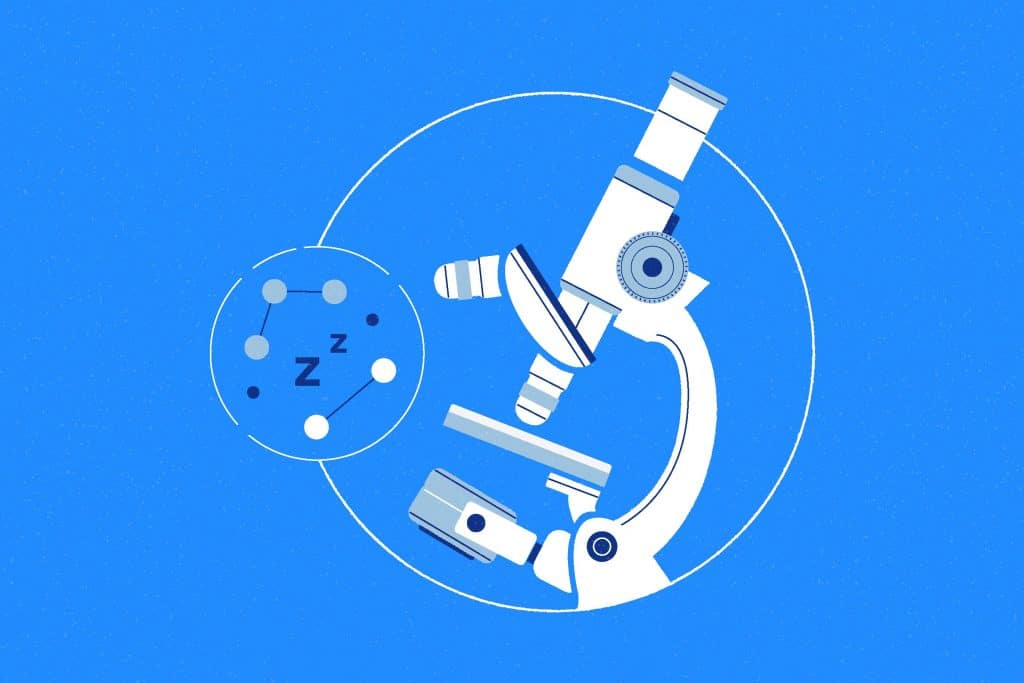 Microsleep and the Mind: What's Happening and Why - Amerisleep