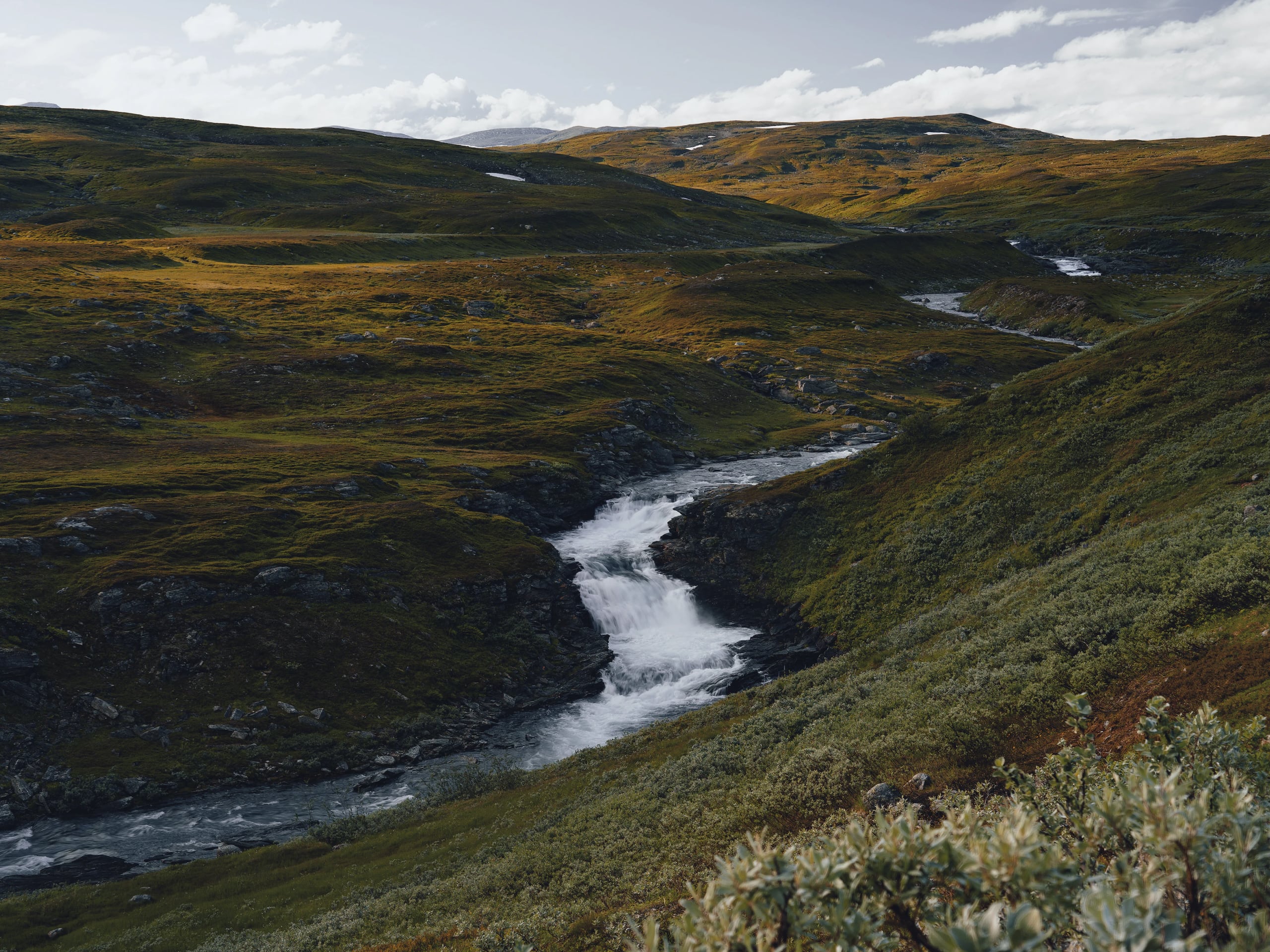 Out Hiking for the Summer – Anders Norén