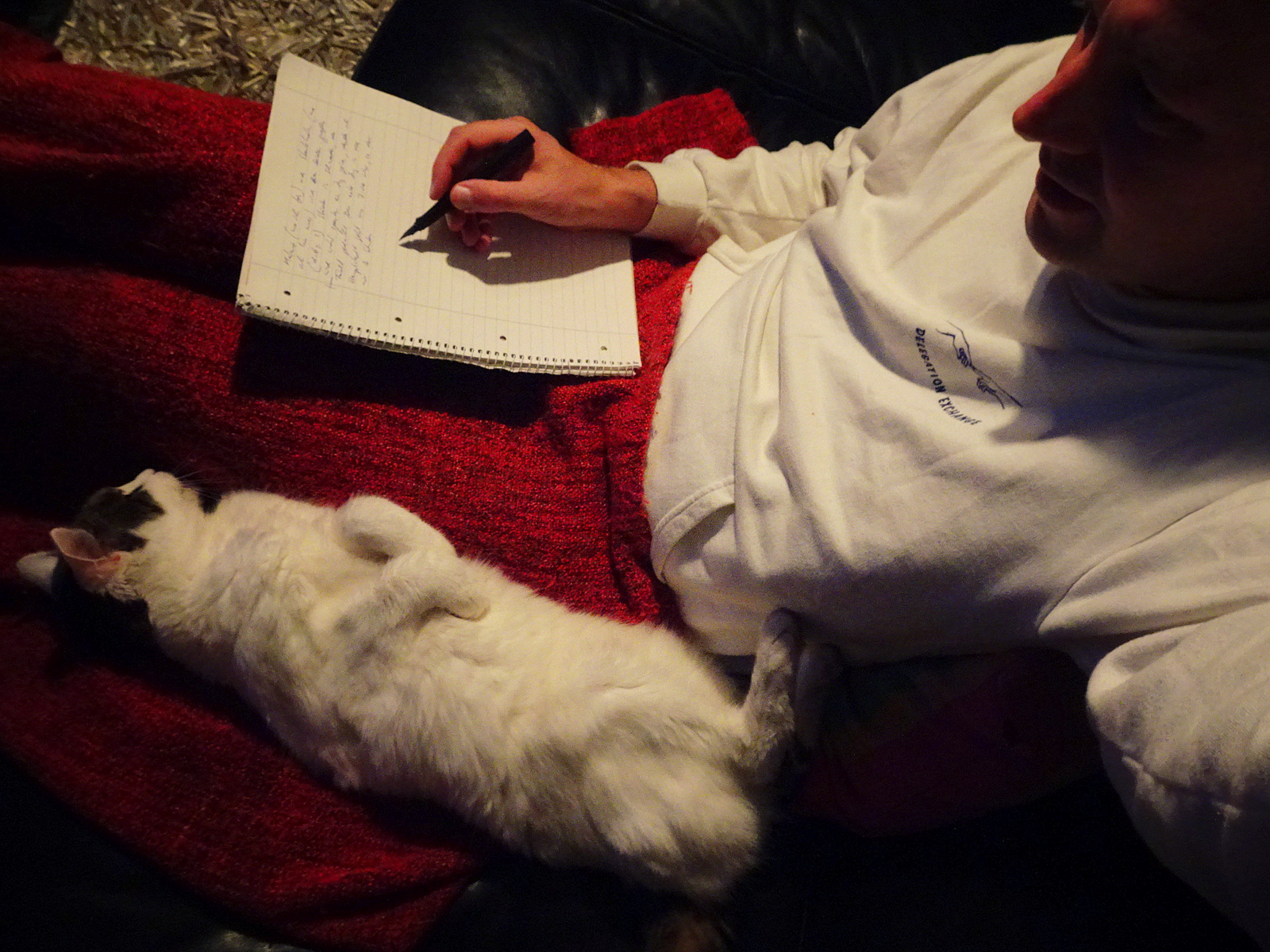 FAQ on House-Sitting | The Happy Hermit