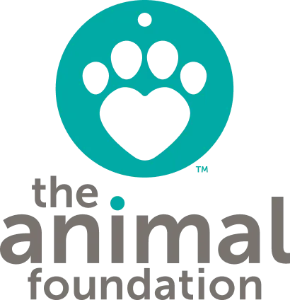 Adopt a pet - The Animal Foundation