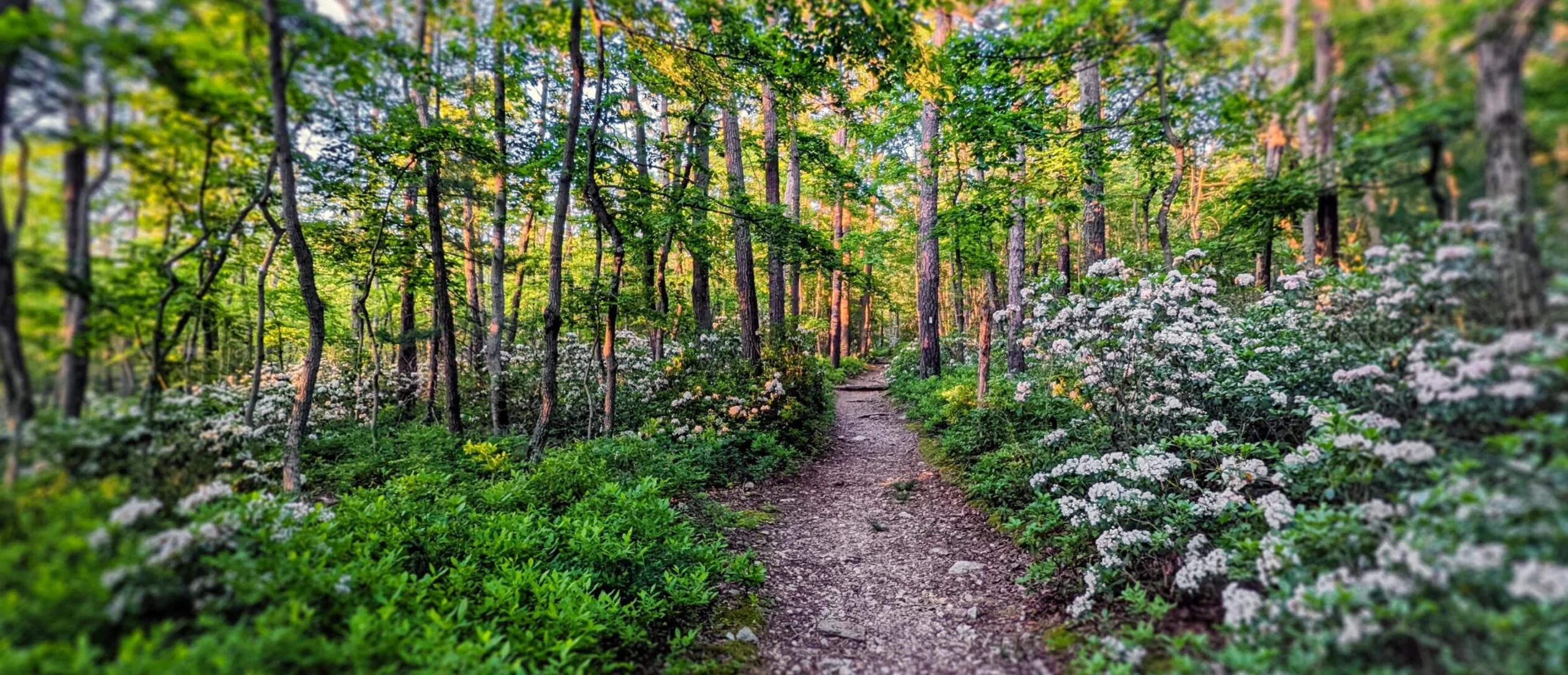 Pennsylvania - Appalachian Trail Conservancy | Appalachian Trail Conservancy