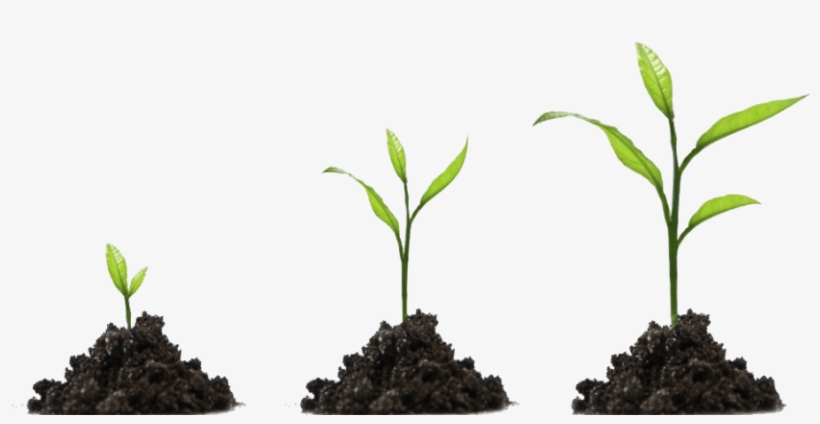 Measure Your Test Automation Maturity - AI-Powered End-to-End Testing | Applitools