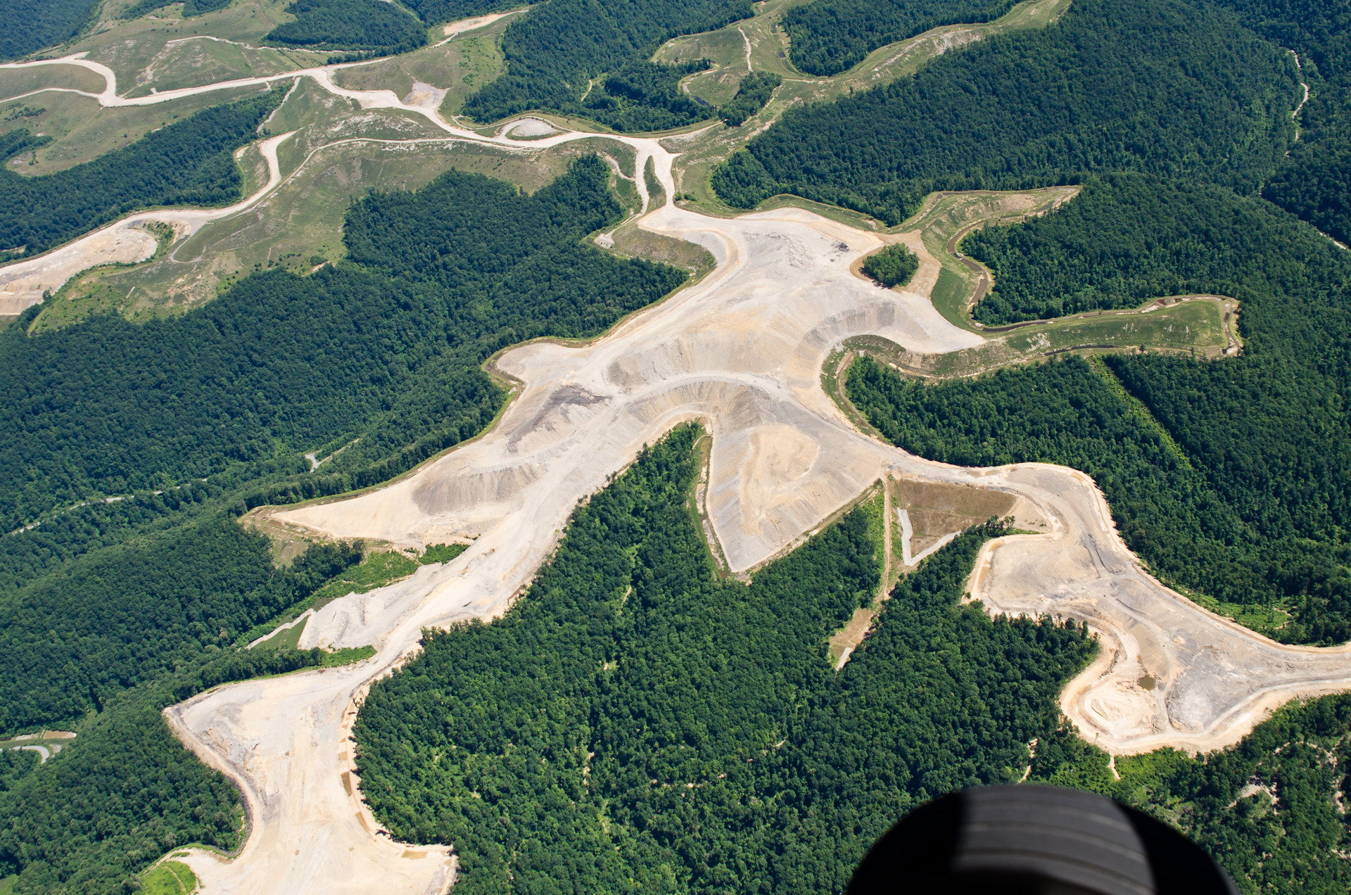 Carbon removal on reforested mine lands: One nature-based solution for two deep challenges | Appalachian Voices