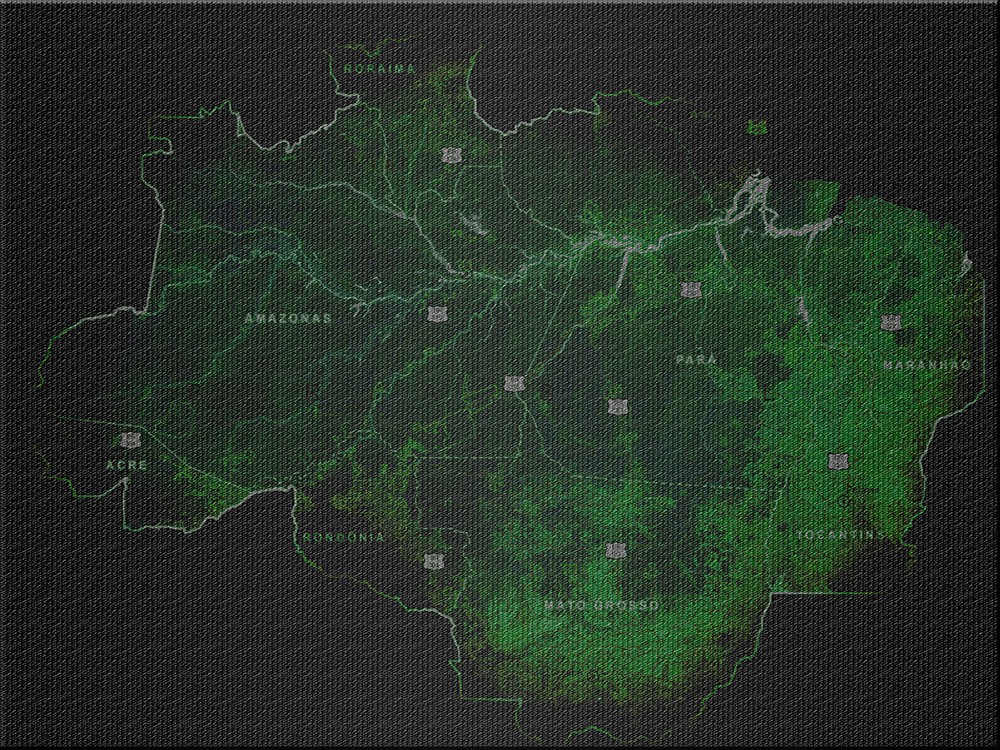 Assentamentos irregulares são os que mais desmatam na Amazônia - Agência Pública