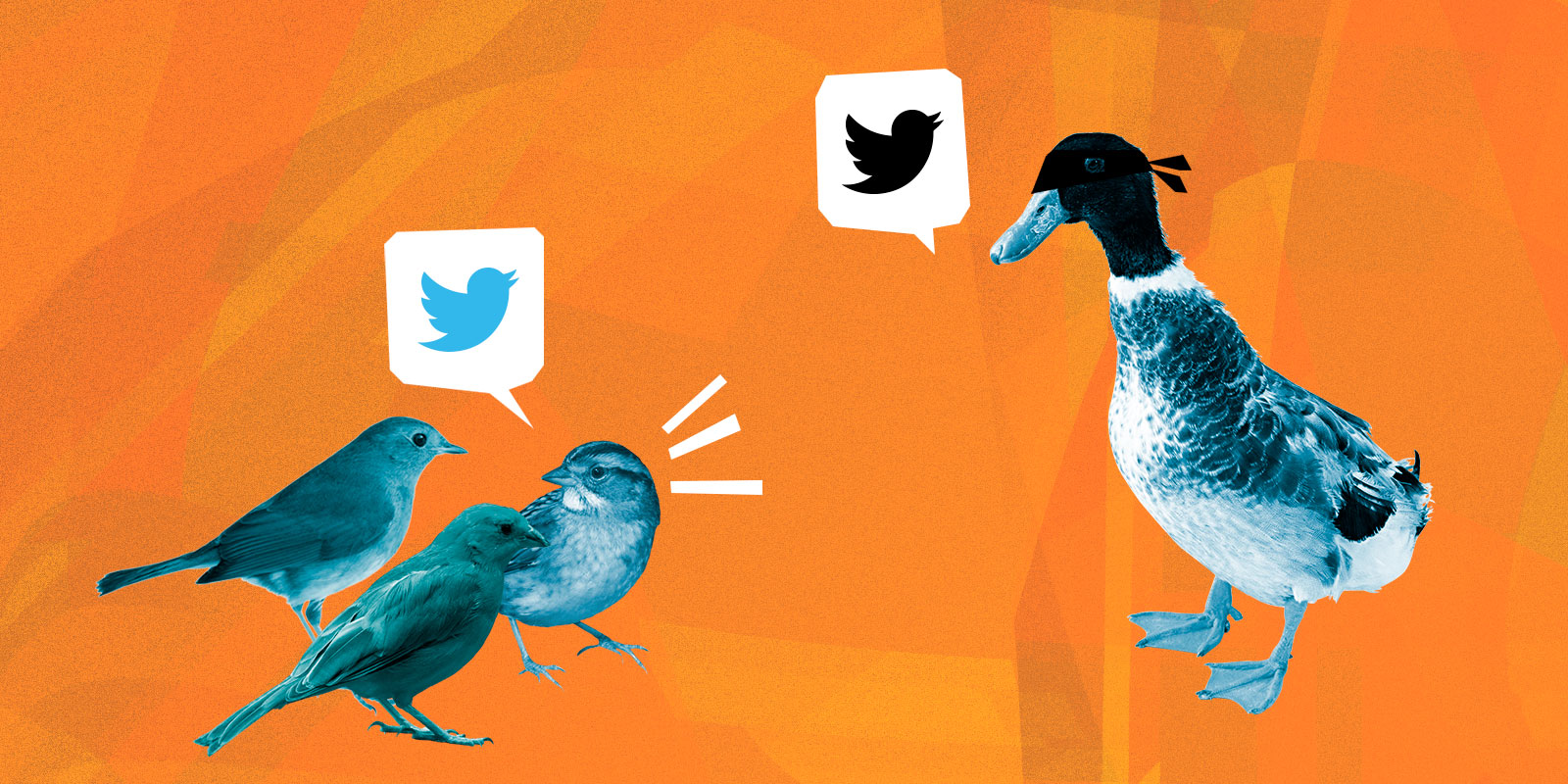 Perfis de paródia se organizam no Twitter em apoio a Bolsonaro e contra a imprensa - Agência Pública