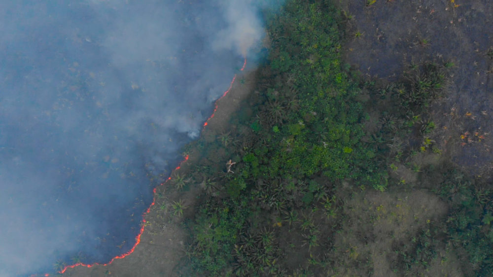 Assentamento Terra Nossa foi o mais afetado por queimadas na Amazônia