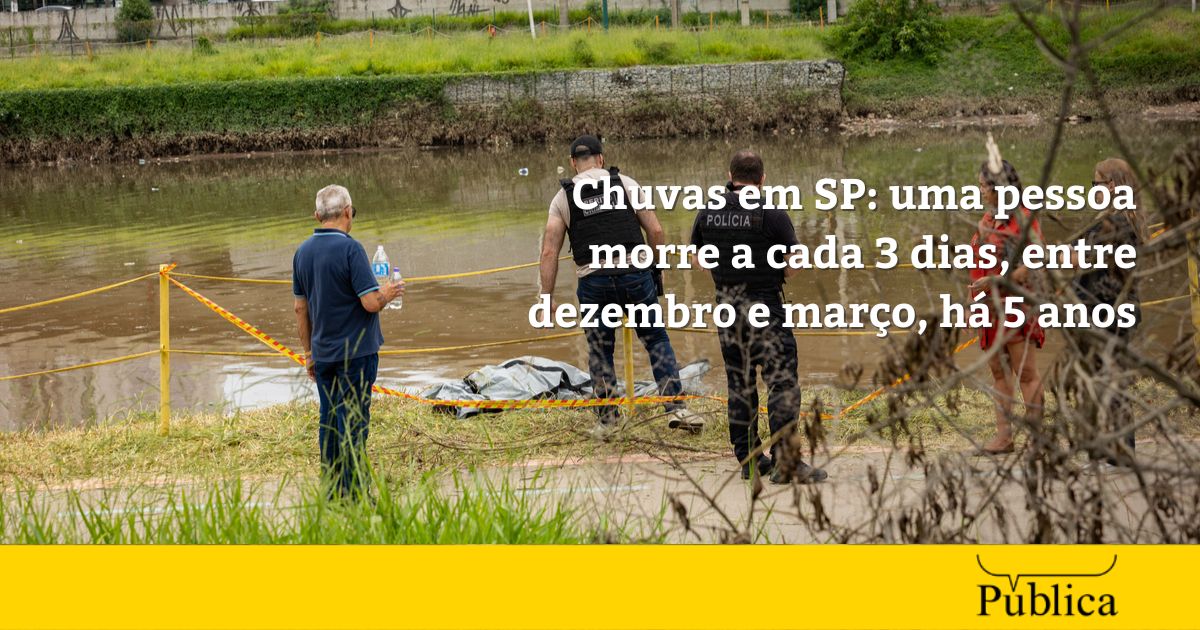 Chuvas SP: uma pessoa morre a cada 3 dias no verão há 5 anos