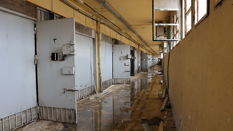Liberation from the “Human Slaughterhouse”: A Dark History of Imprisonment in Syria