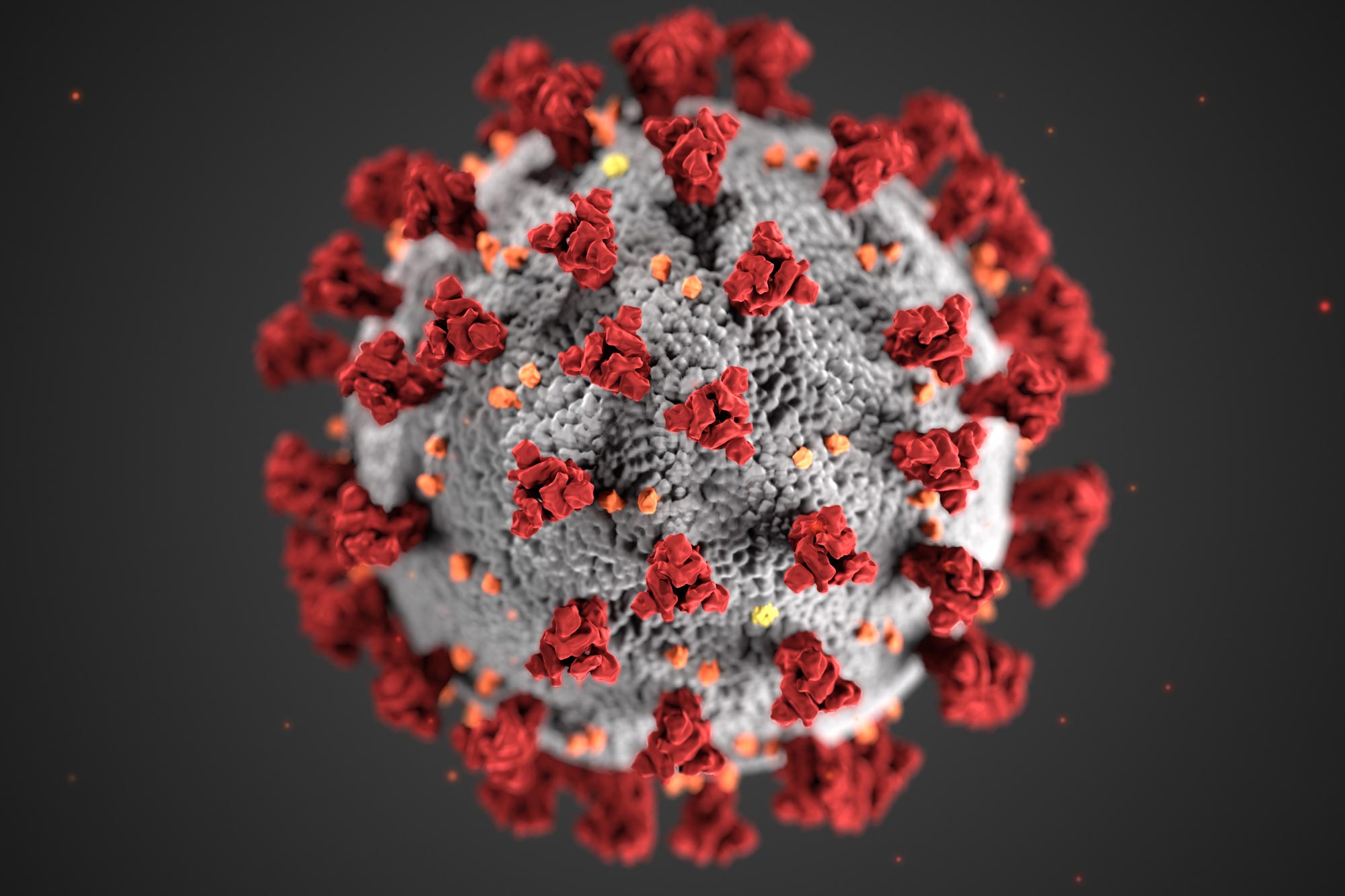 Latest Updates on UVA’s Response to the Coronavirus | UVA Today Archives