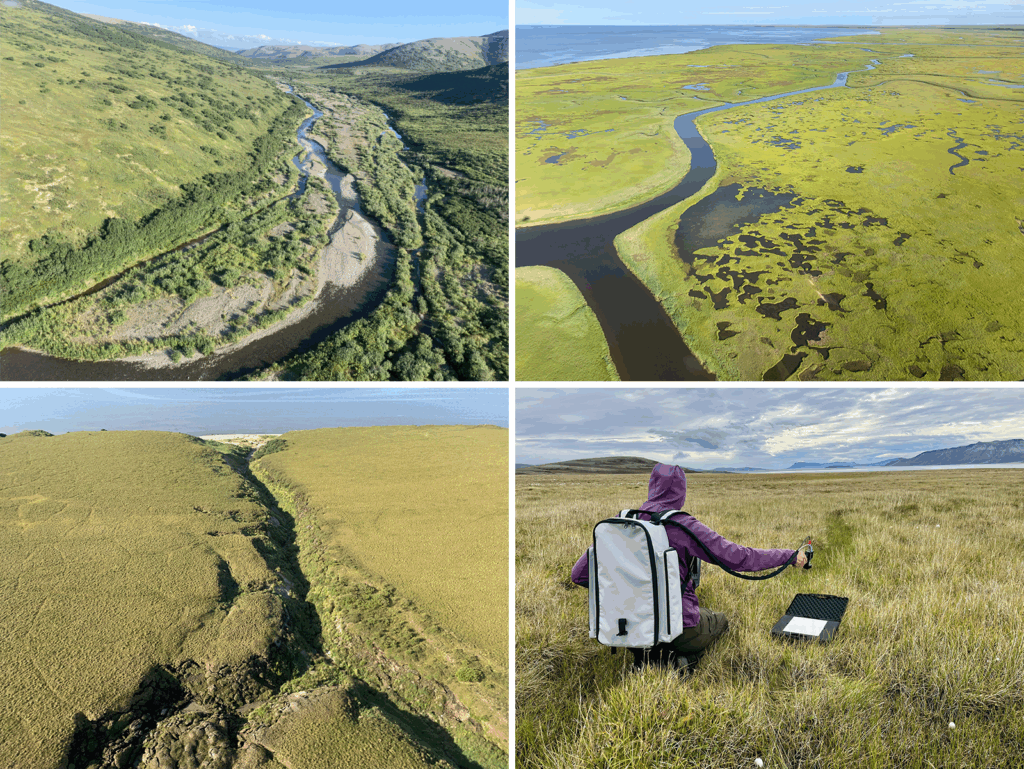 Tundra Greenness - NOAA Arctic