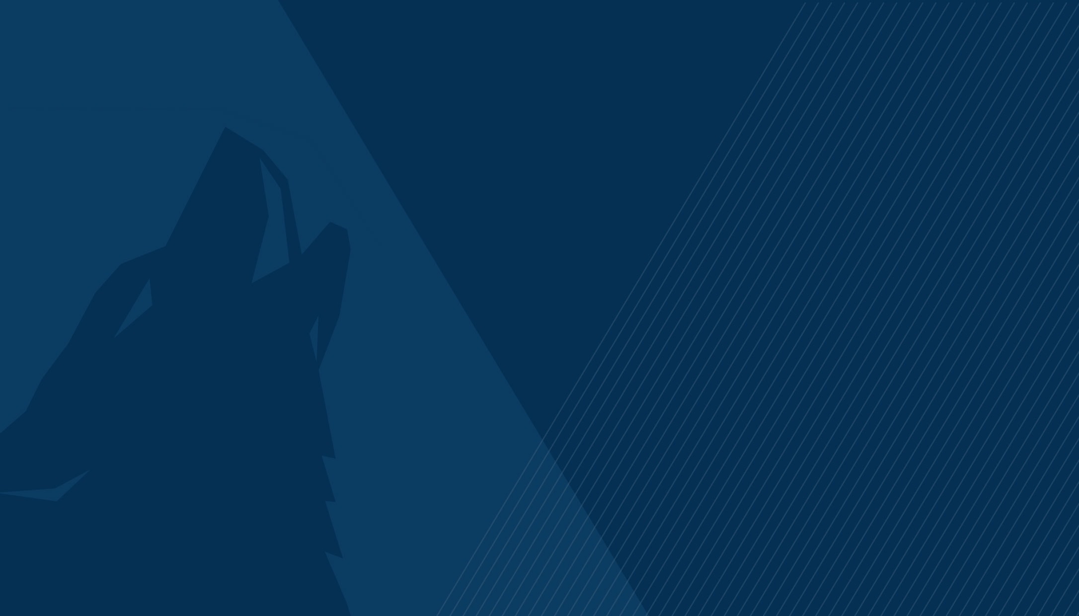 Security Posture In The World Of Open Source | Arctic Wolf