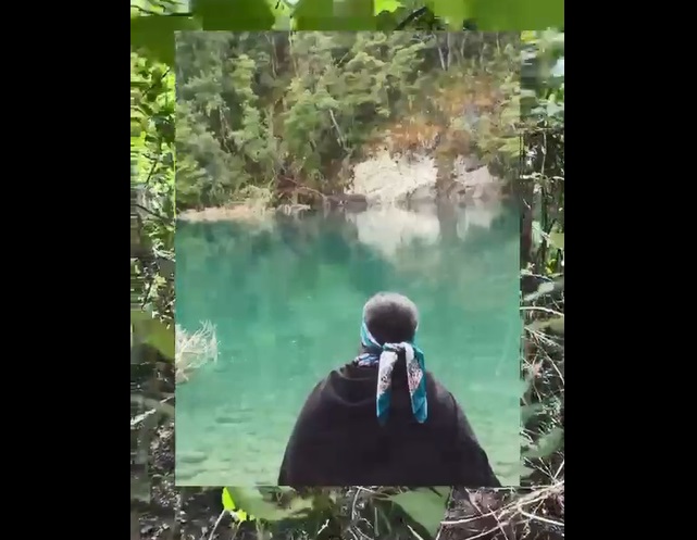 El lamento de una lawentuchefe tras incendios de la Patagonia: “Pérdida irreparable de la medicina ancestral mapuche” - Indymedia Argentina Centro de Medios Independientes (( i ))