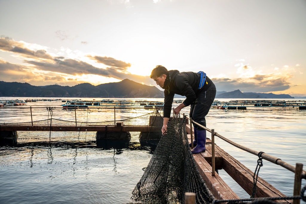 ASC International - Aquaculture Stewardship Council