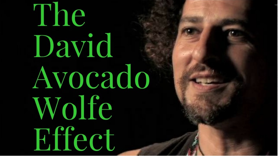The David 'Avocado' Wolfe Effect