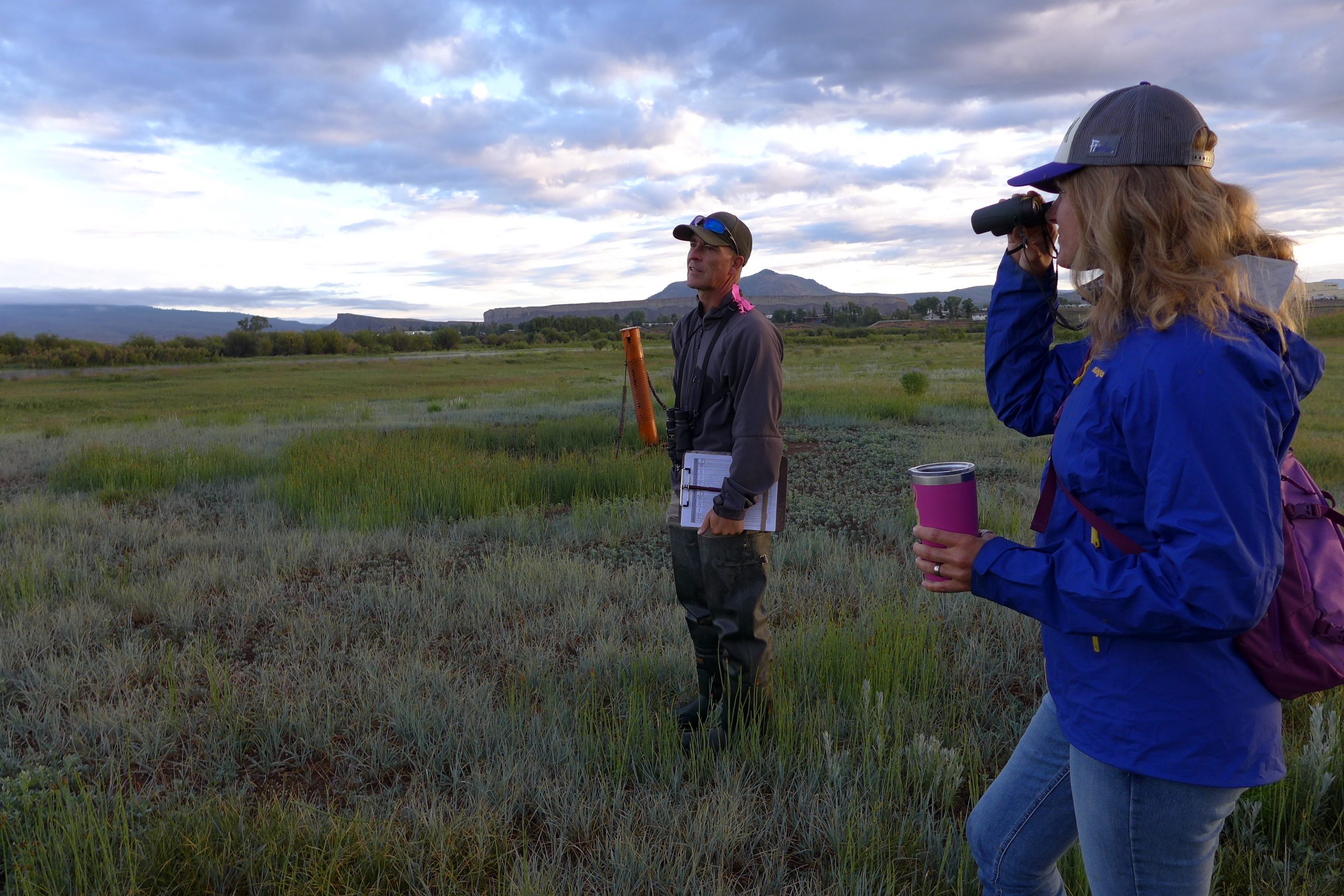 Bird count examines what happens when high-country irrigators use less water
