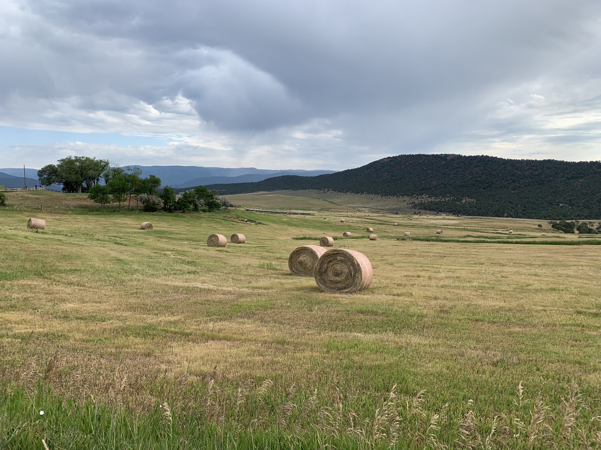 Upper Basin states propose MOU with U.S. Bureau of Reclamation - Aspen Journalism