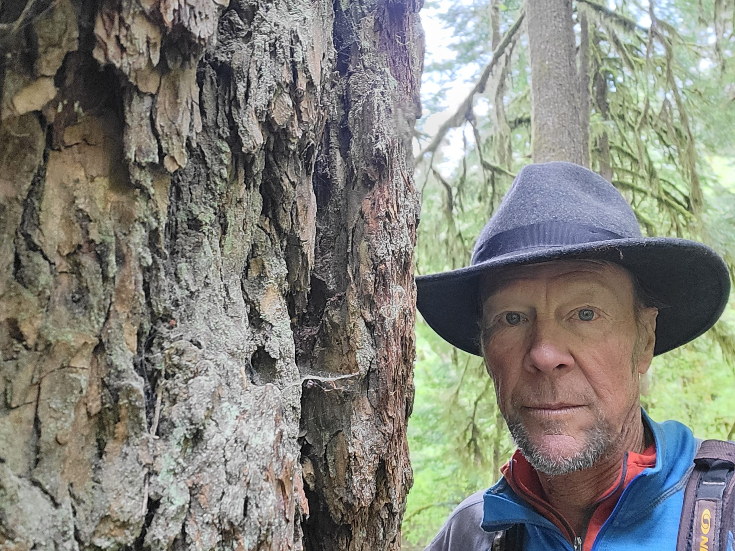 On the loose - Aspen Journalism