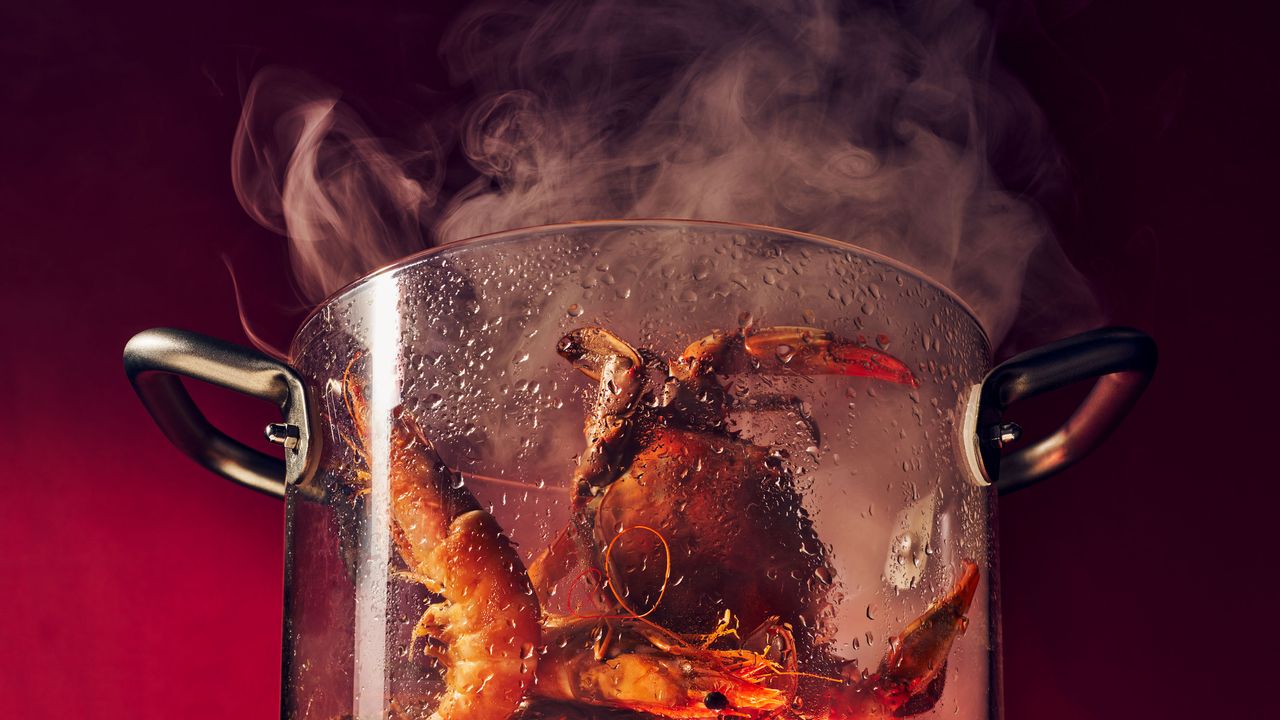 Chefs Are Falling Back in Love With Steaming. You Should Too | Bon Appétit