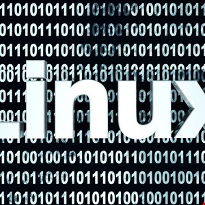Linux-based Malware Requires Linux Focused Cybersecurity Strategy - Infosecurity Magazine