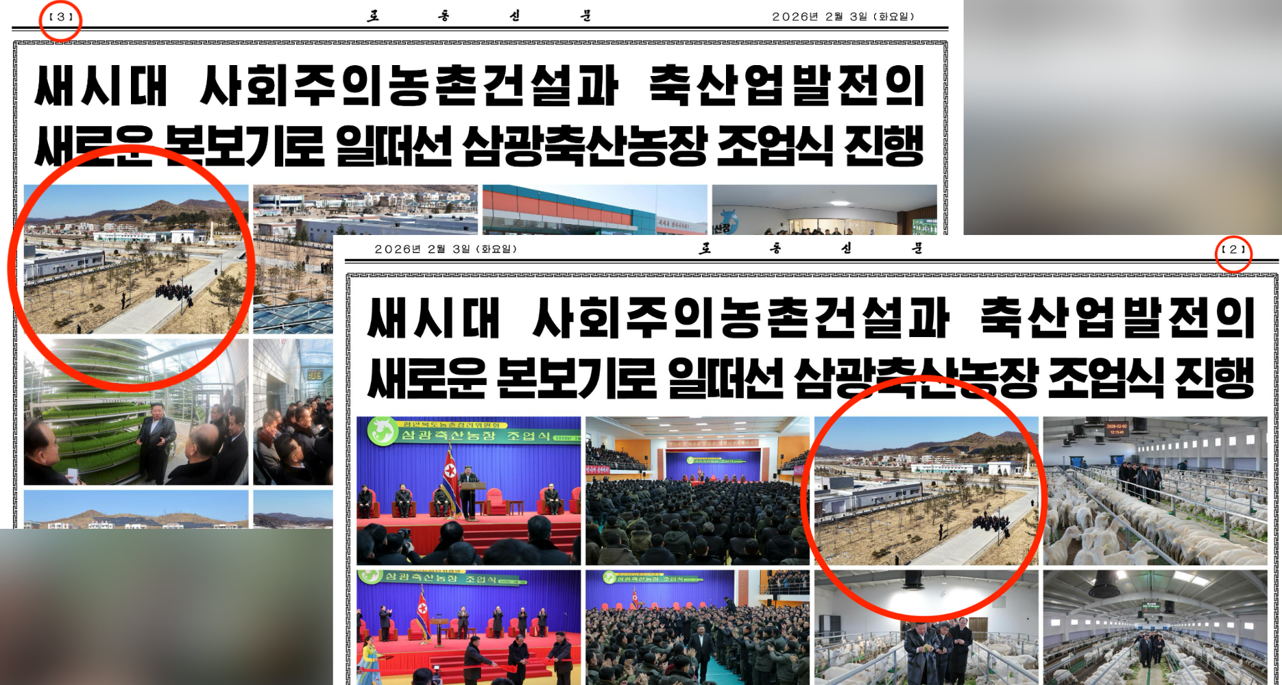 In rare blunder, North Korean newspaper publishes same photo twice in one issue | NK News