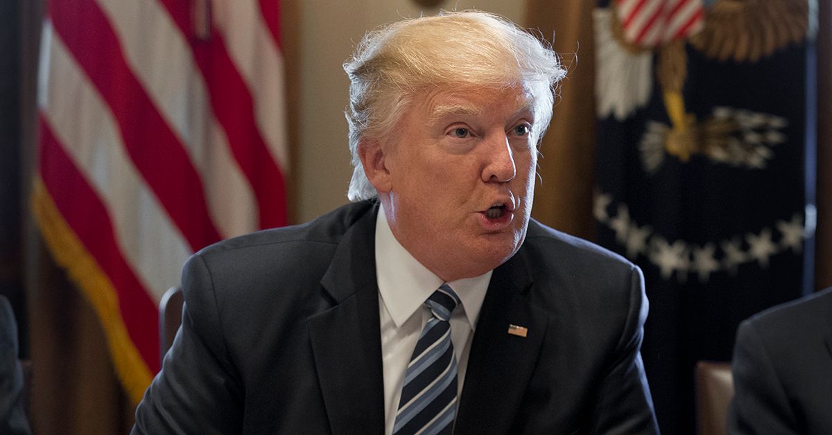 Donald Trump's 2005 Tax Return Revealed on 'The Rachel Maddow Show' | Teen Vogue