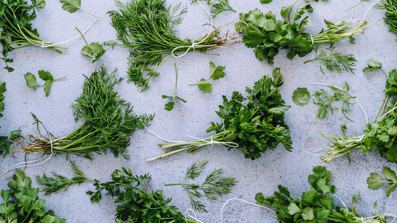 The Health Benefits of Parsley | Vogue