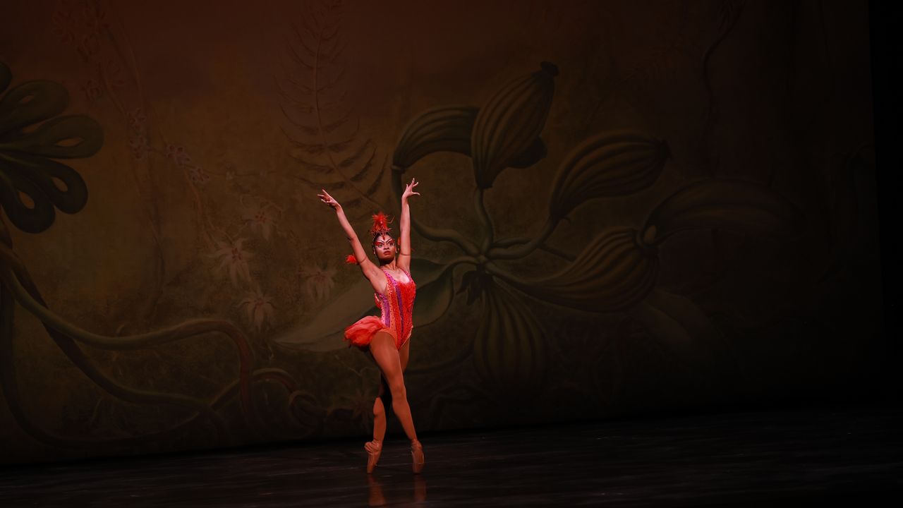 A Celebration of Legacy, Inside the Dance Theater of Harlem’s Annual Vision Gala | Vogue