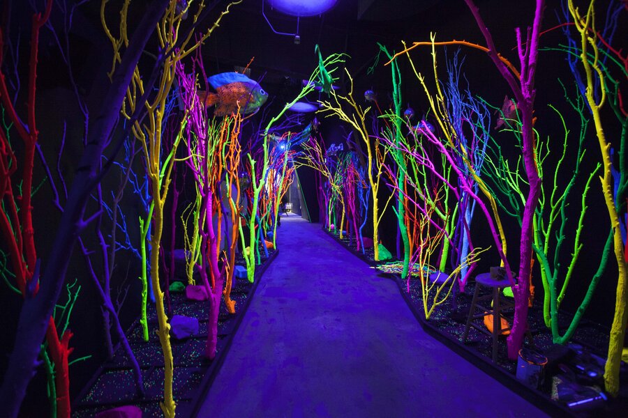 Meow Wolf Sante Fe: Get Tickets to This Psychedelic Fun House Right Now - Thrillist