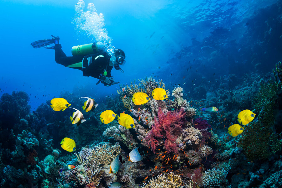 How to Get Your Scuba Diving Certification: Everything You Need to Know - Thrillist
