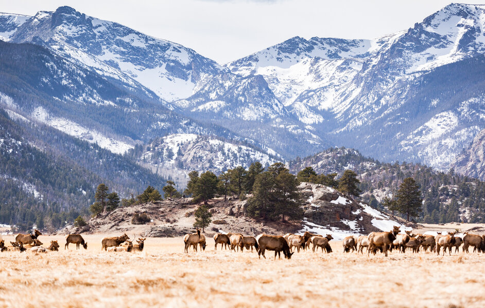 Rocky Mountain National Park Camping Guide: Best Hikes, Lodging & More - Thrillist